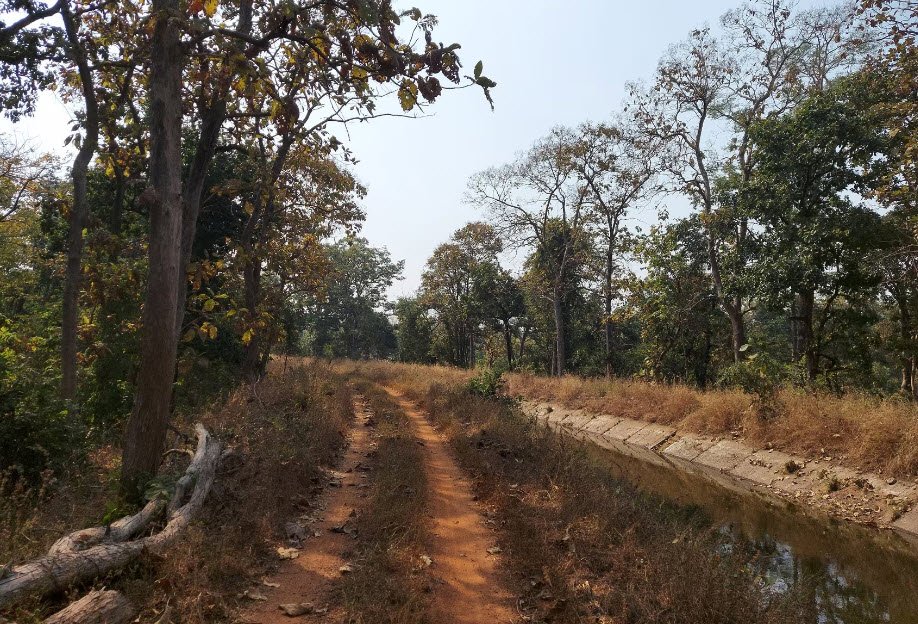 Ghodazari Wildlife Sanctuary, Chandrapur, Maharashtra - Vushii.com Ghodazari Wildlife Sanctuary, Chandrapur, Maharashtra - Vushii.com